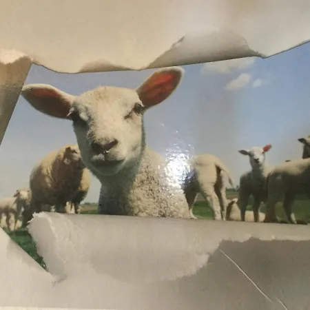 Le Loup Dans La Bergerie Frühstückspension *